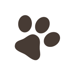 Cutie paw1.png