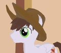 A Cowpony Hat item equipped on a character