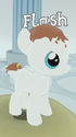 Flash Filly.PNG