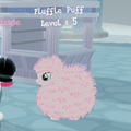 The Fluffle Puff item equipped on its namesake
