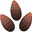 TulipSeed.png