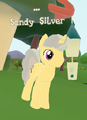 Sandy Silver can be found next to the Heartlands Cottage