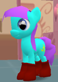 A pony wearing boots (OS 1)