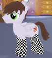 A full set of Checker Socks equipped on a character